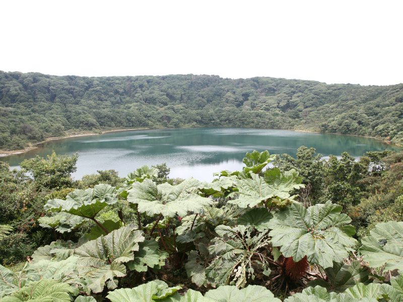 Poas Volcano, Alajuela, Costa Rica