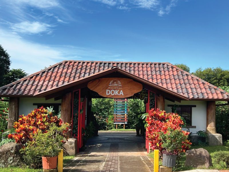 Doka Coffee, Poas, Alajuela, Costa Rica