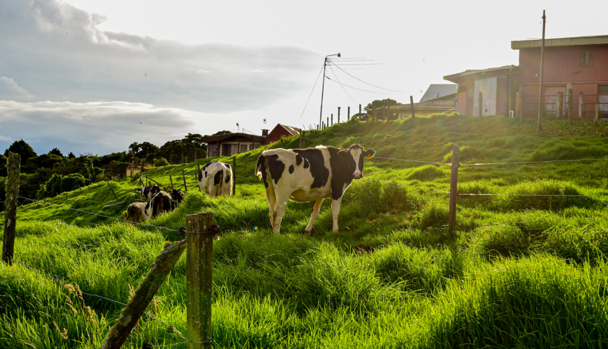 Poas, Alajuela, Costa Rica