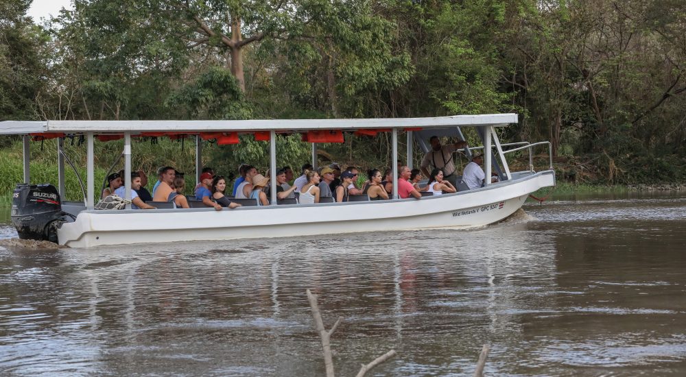 Palo Verde WetLands Boat Tour – HALF DAY