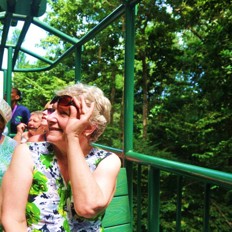 Aerial Tram 04
