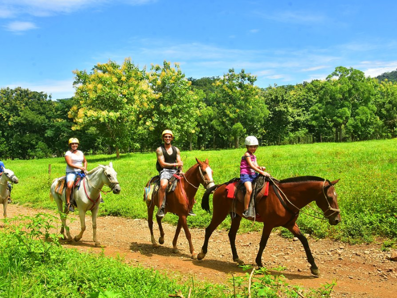 Horseback 04