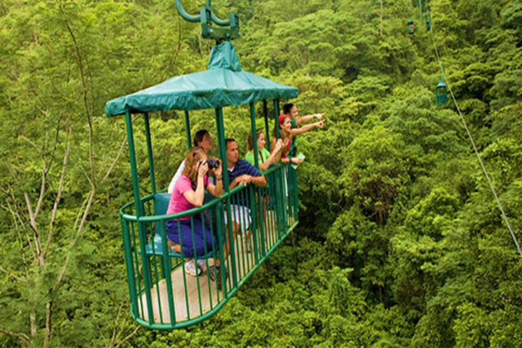 Pacific Rainforest Aerial Tram