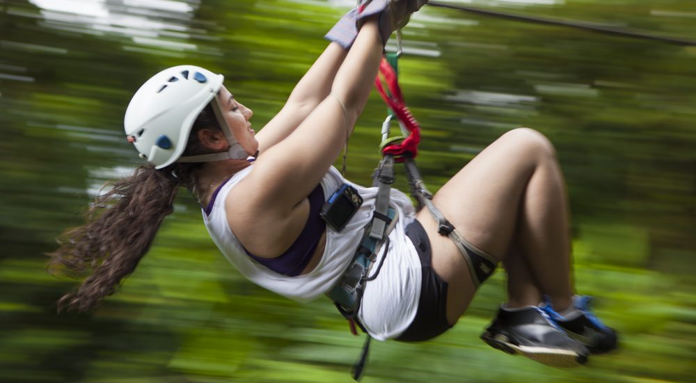 canopy1