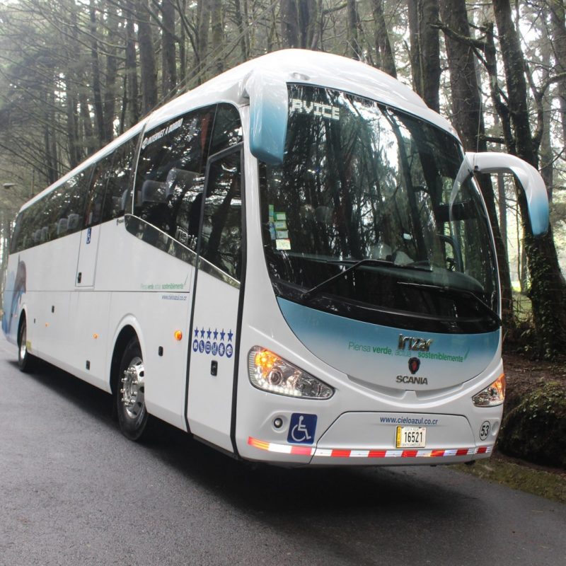 Bus