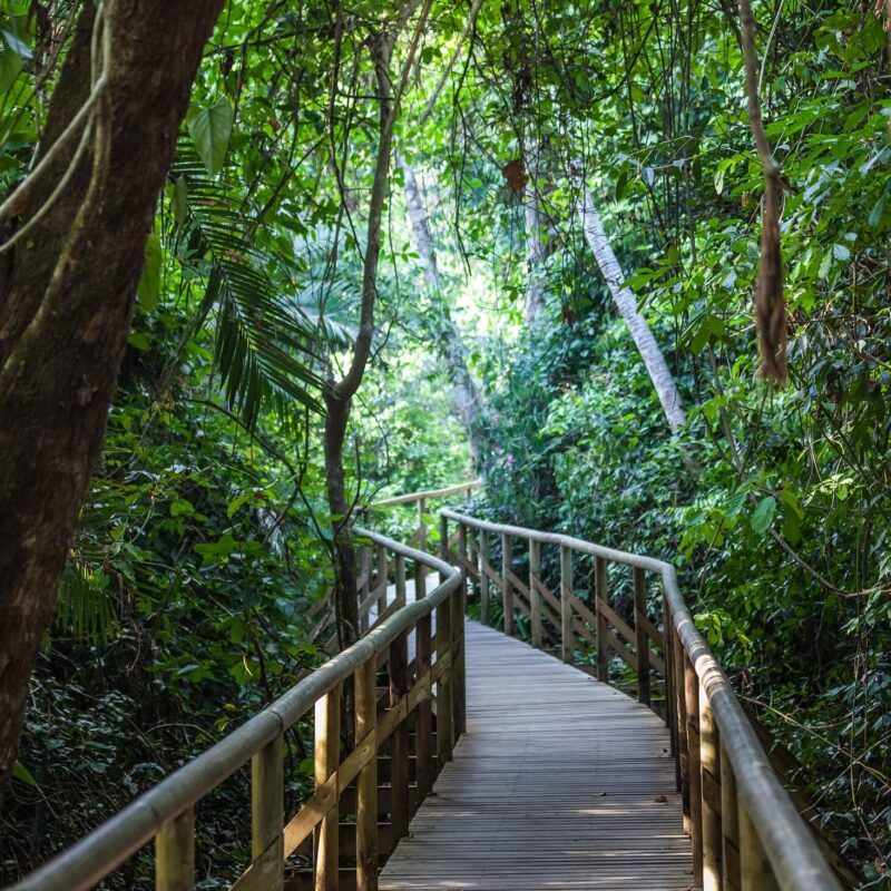 hike-Manuel-Antonio-national-park