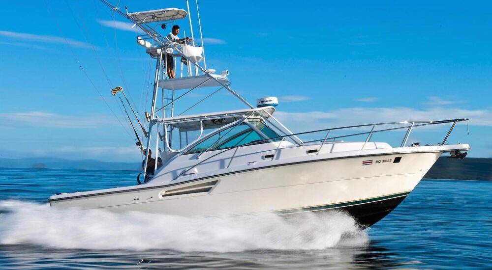 Half Day Fishing Adventure Tour (Jefe 38 FT  / 4 up 8 pax)