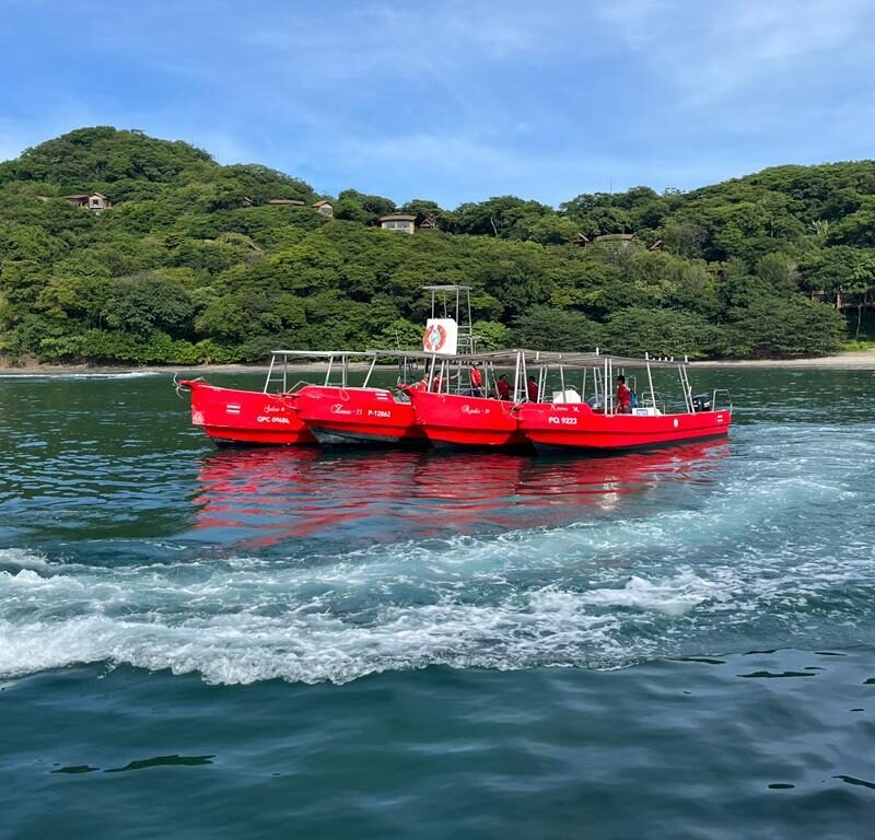 Botes (5)