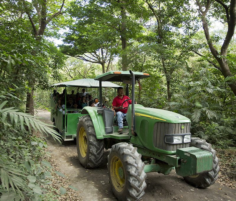 Buena Vista Tractor