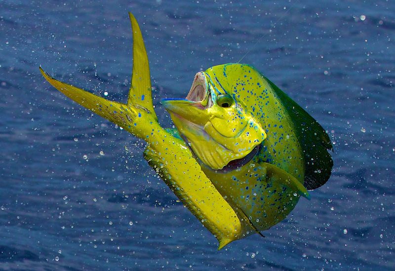 Fishing Trip3