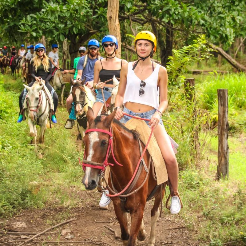 Horseback Riding