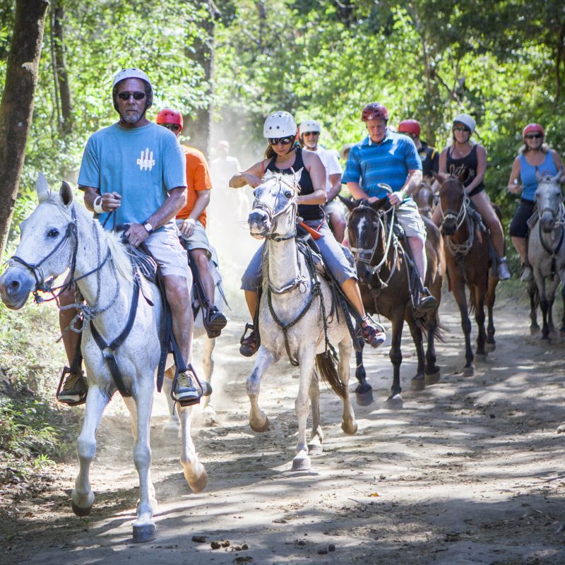 Horseback Riding2