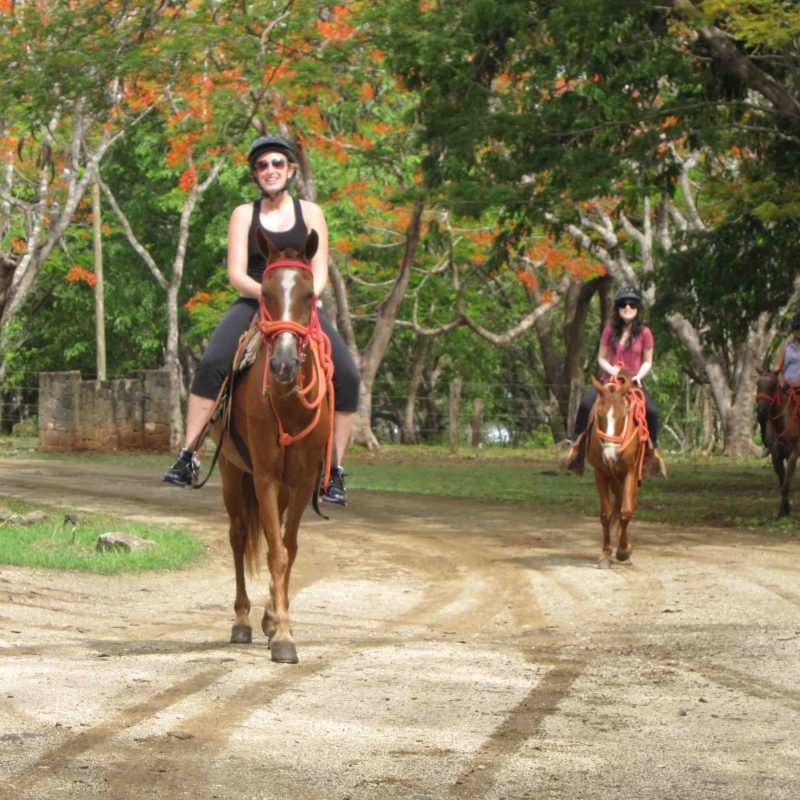 Horseback Riding4