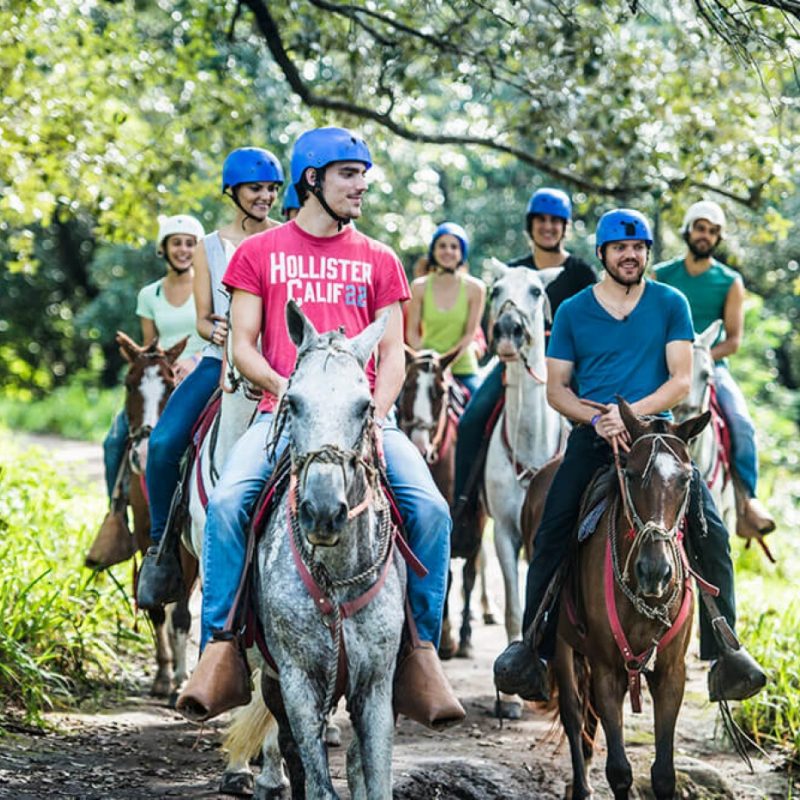 Pure Adrenaline Horseback Riding