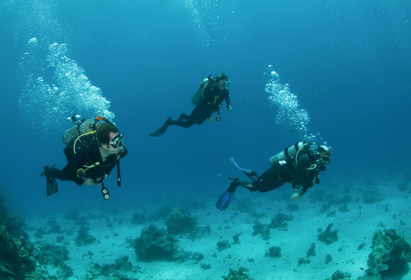 Scuba Diving
