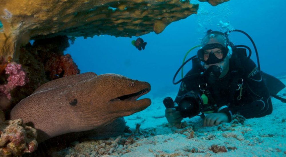 Scuba Diving
