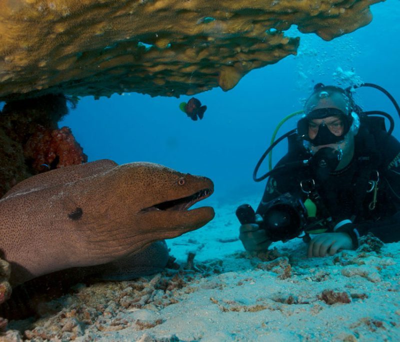 Scuba Diving5