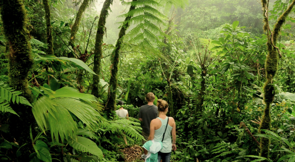 Treasures of Monteverde WRC
