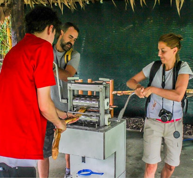 Treasures of Monteverde6