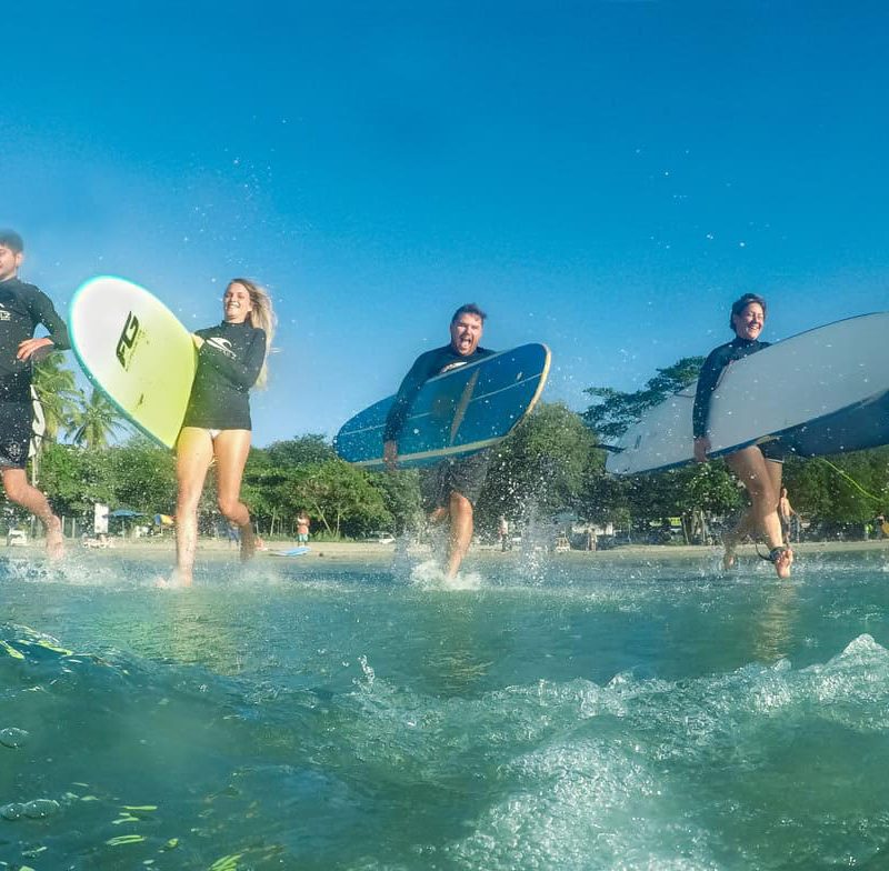 surfing Lessons