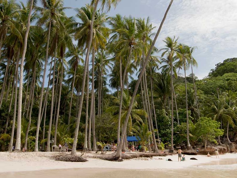 costarica-tortugaisland-costacat-white-sand-beach