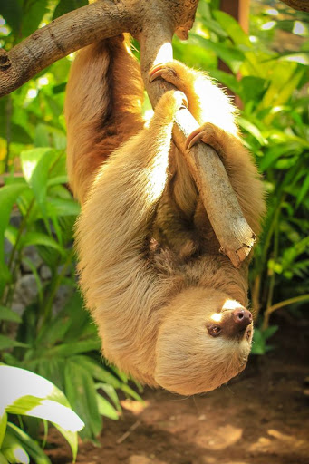 Diamante Animal Santuary