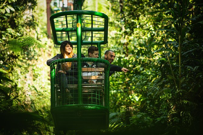Aerial Tram Tour – HALF DAY