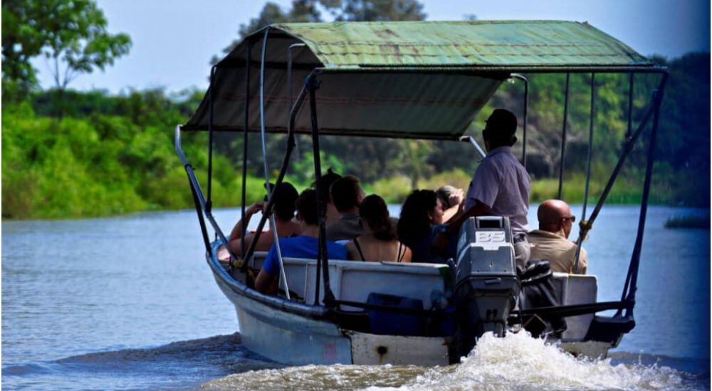 Tamarindo Mangrove Boat Tour