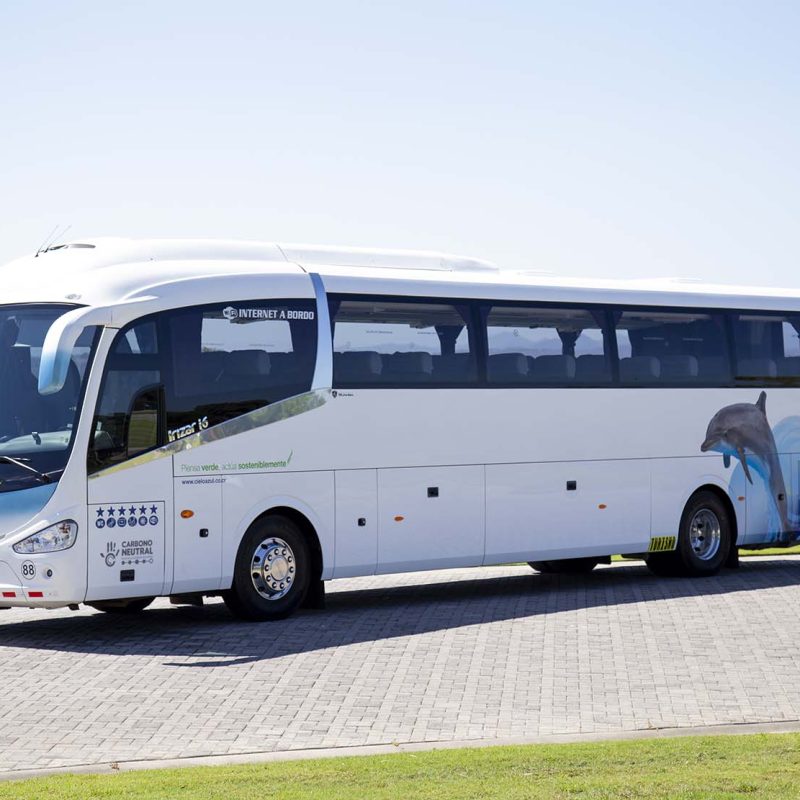 Bus 10