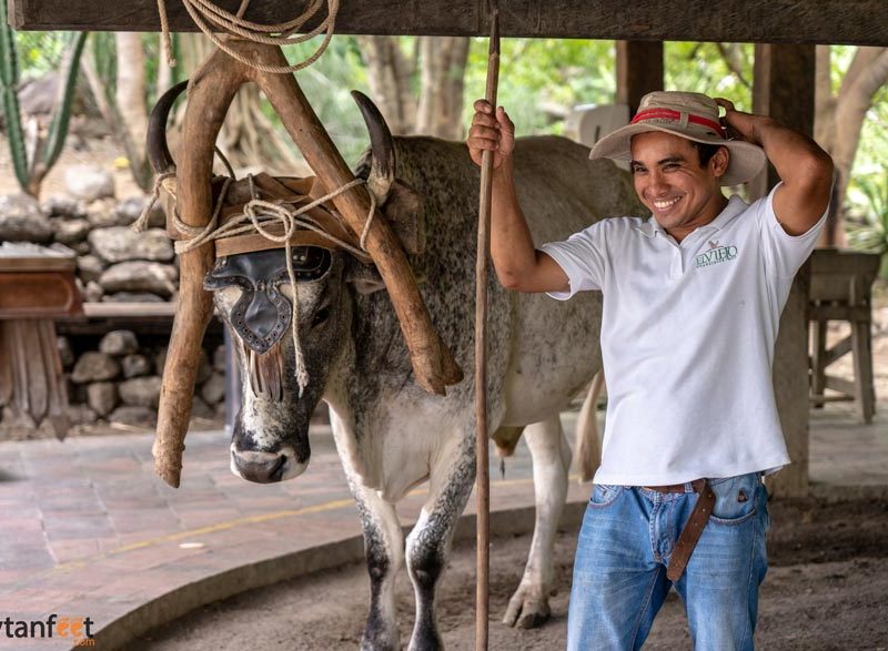 Hacienda-El-Viejo-cultural-tour