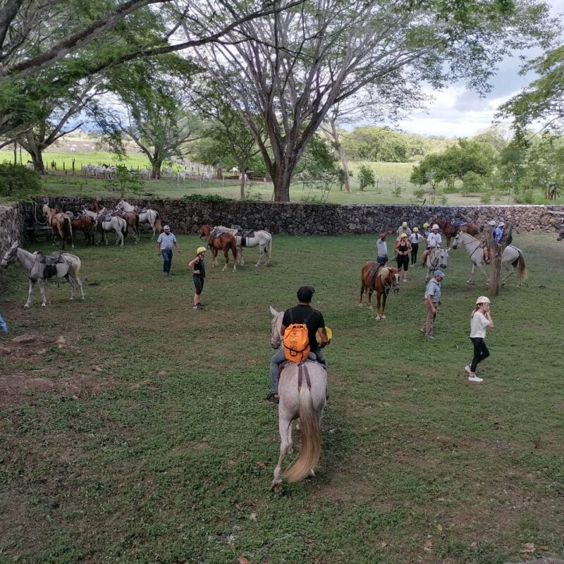 Montandose a los caballos en el corral