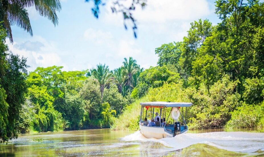 Palo Verde National Park & Cultural Tasting