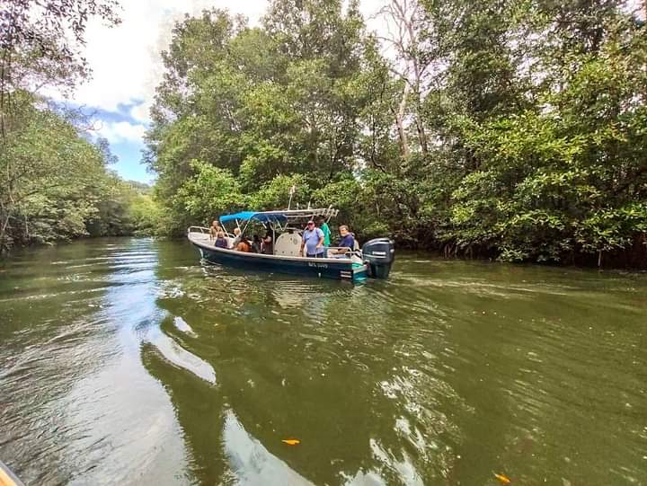 Mangrove & La Cruz Sightseeing Tour – Dreams Las Mareas