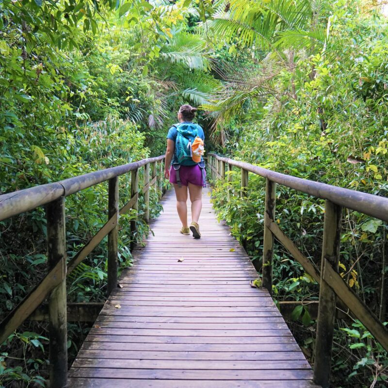 best+things+to+do+in+manuel+antonio+national+park+costa+rica