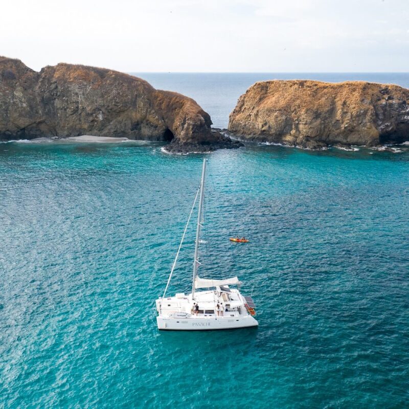 full-day-sailing-panache_catamaran_0558