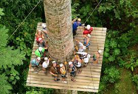 VLS ZIP LINE