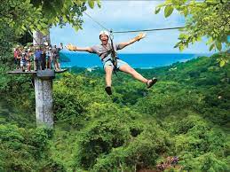 Canopy Tour ( Zip line) Regular