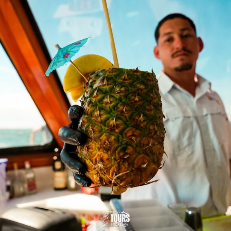 SanJose-BayIsland-2024-vendor61 Large (1)