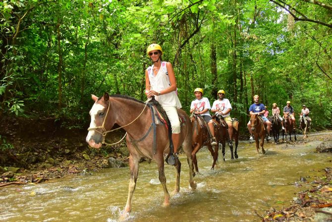 VLS Horseback Adventures