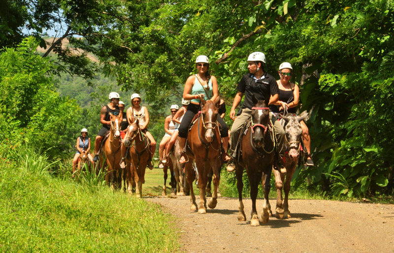 VLS Horseback-Riding-6