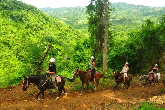VLS vista-los-suenos-horseback
