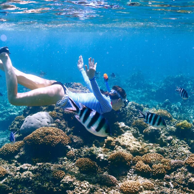 Snorkeling Guanacaste