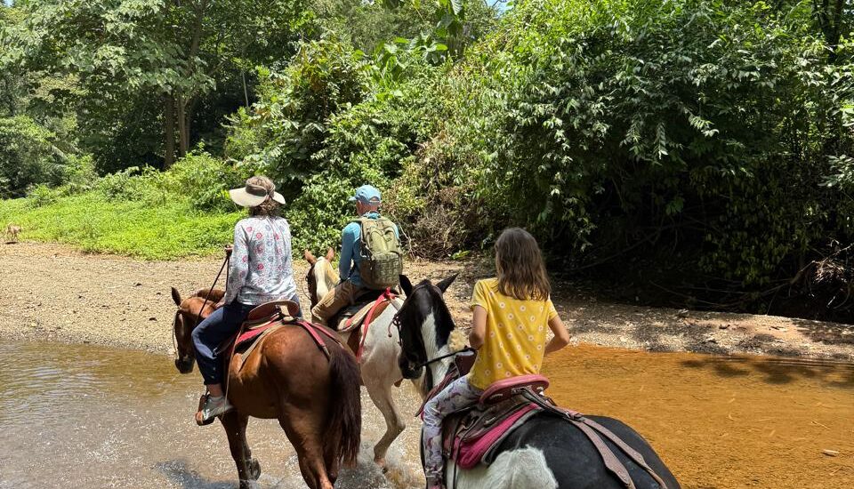 Nosara Farm Horseback Adventure