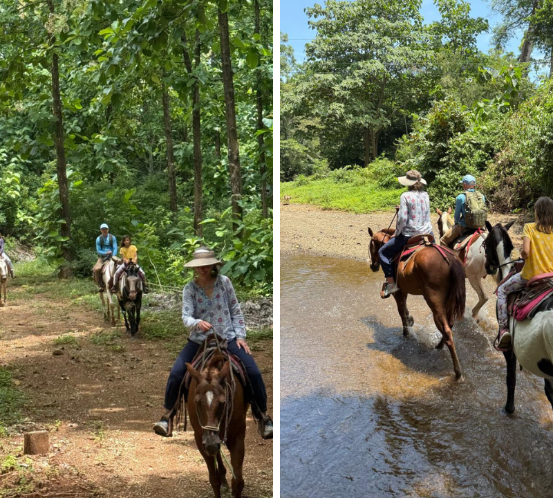 Horseback Riding Ostional GeoExplore 6