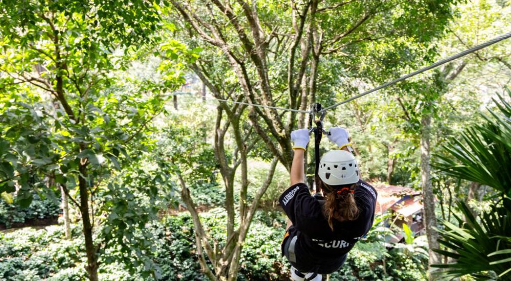 Hacienda La CHIMBA Canopy Tour & Mantra Trail