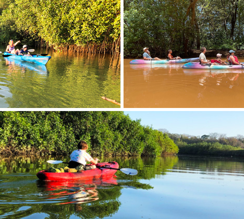kayak-nosara-costa-rica-adventure 8