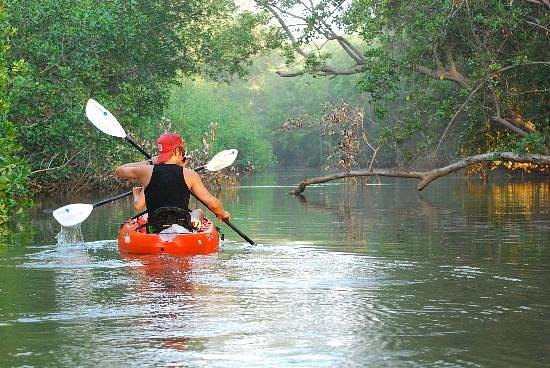 Nosara Mangrove Kayak Tour