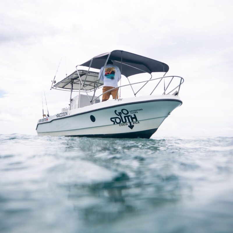 Raccoon Fishing Boat