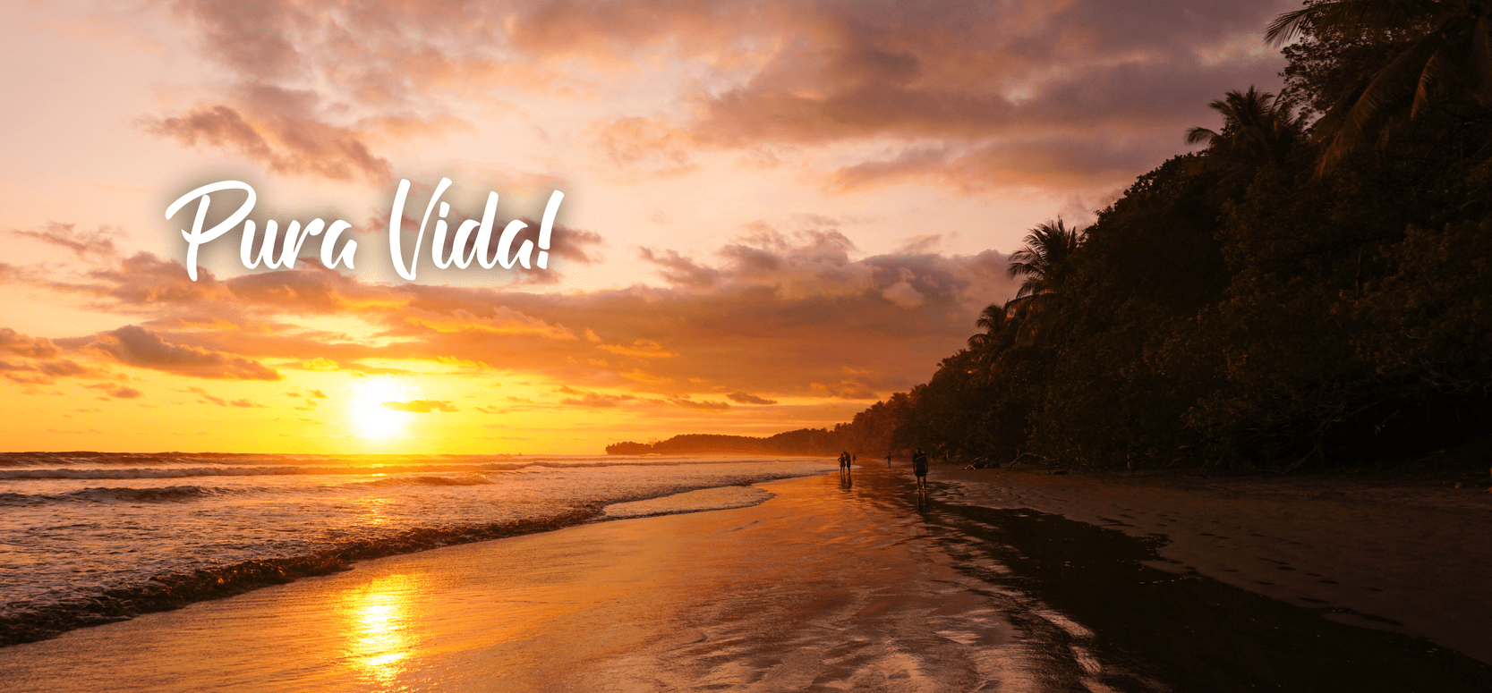 swiss travel costa rica tours